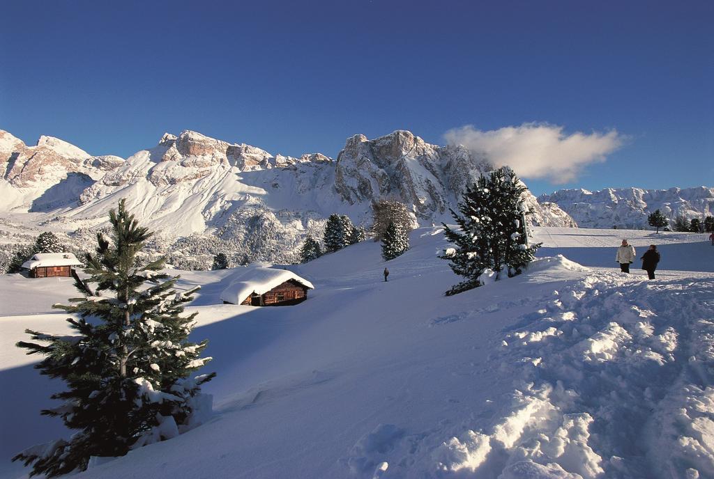 Apartments La Baita Santa Cristina Val Gardena Екстер'єр фото
